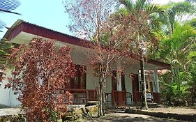 Tangkoko Jungle Homestay